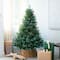 6ft. Pre-Lit Edmonton Fir Artificial Christmas Tree, Color Changing LED Lights